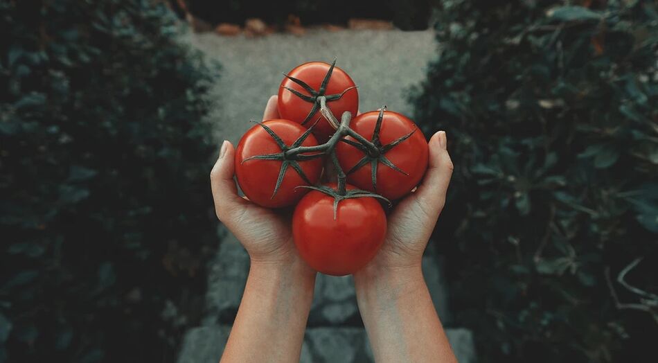 トマトは前立腺がんのリスクを軽減します
